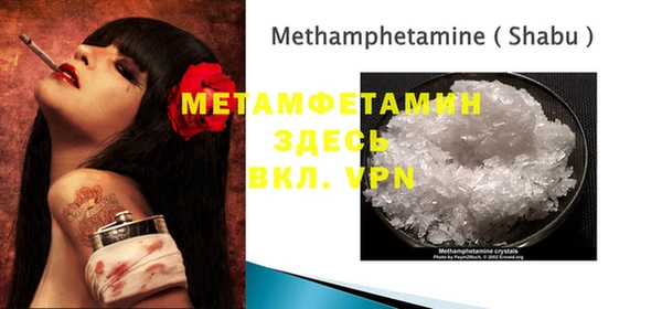 индика Абаза