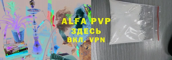 индика Абаза