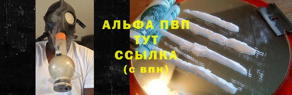 индика Абаза