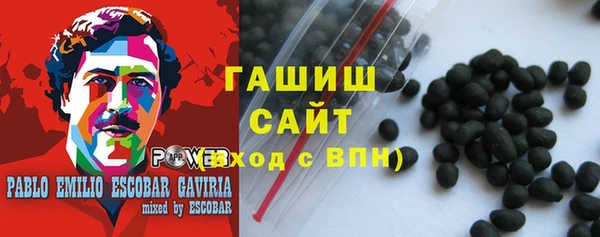 индика Абаза