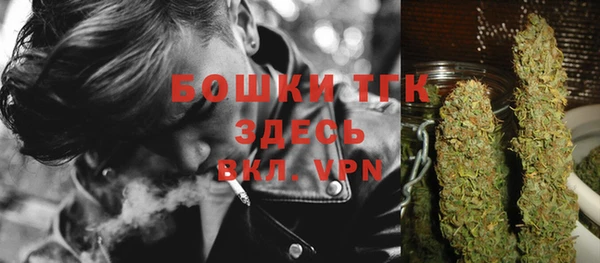 индика Абаза
